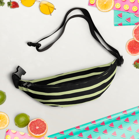 Stripes Fanny Pack